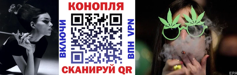 kraken ТОР  Курчатов  Конопля сатива 